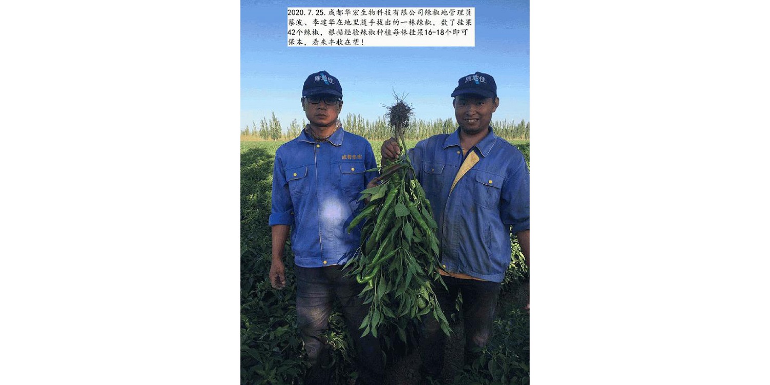 一種修復土壤重金屬的生物有機肥料及其制備方法--成都華宏曹剛整理的資料2021.12.7.0046.jpg