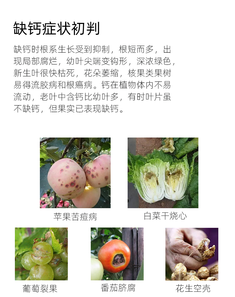 缺鈣.png